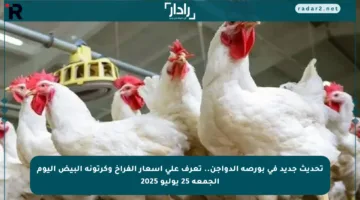تحديث جديد في بورصة الدواجن.. تعرف على أسعار الفراخ وكرتونة البيض اليوم الجمعة 25 يوليو 2025